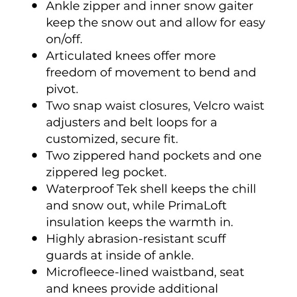 Men’s LL Bean Wildcat Waterproof Insulated Snow Pants size XL - Picture 3 of 7